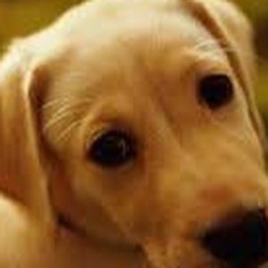 Meet your Posher, Isabell